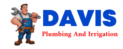 Trusted plumber in LAKE BRONSON